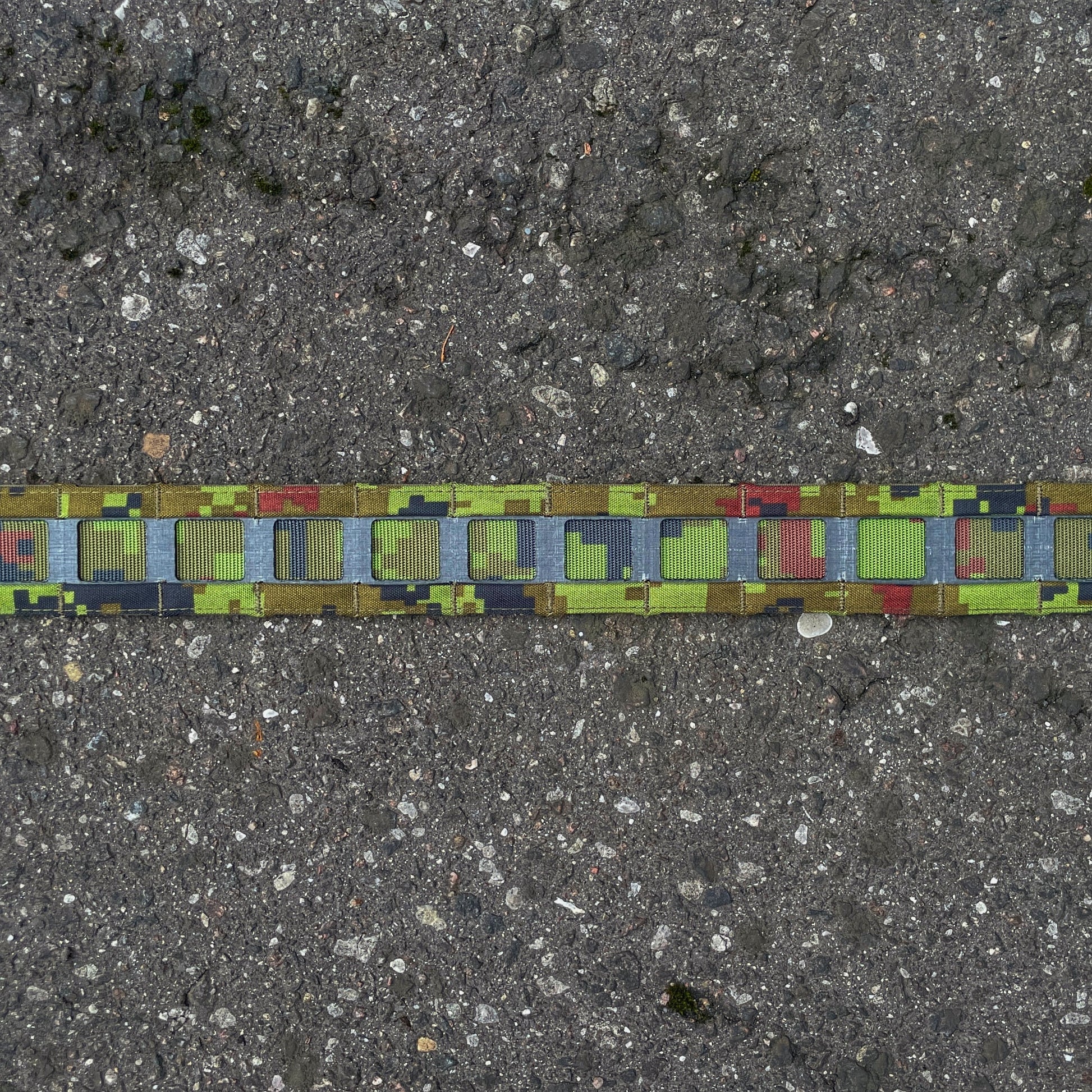 PANNELTAC STRIDE belt in ESTDCU